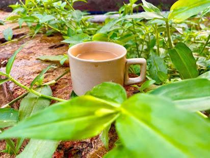 Samarth Atc-Beach Home Stay Ratnāgiri Eksteriør bilde